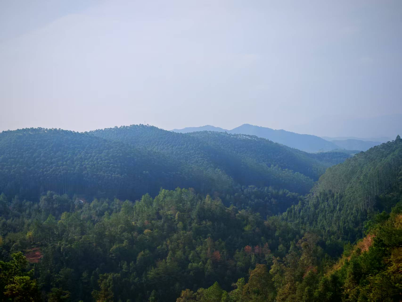 其他创作分类封面