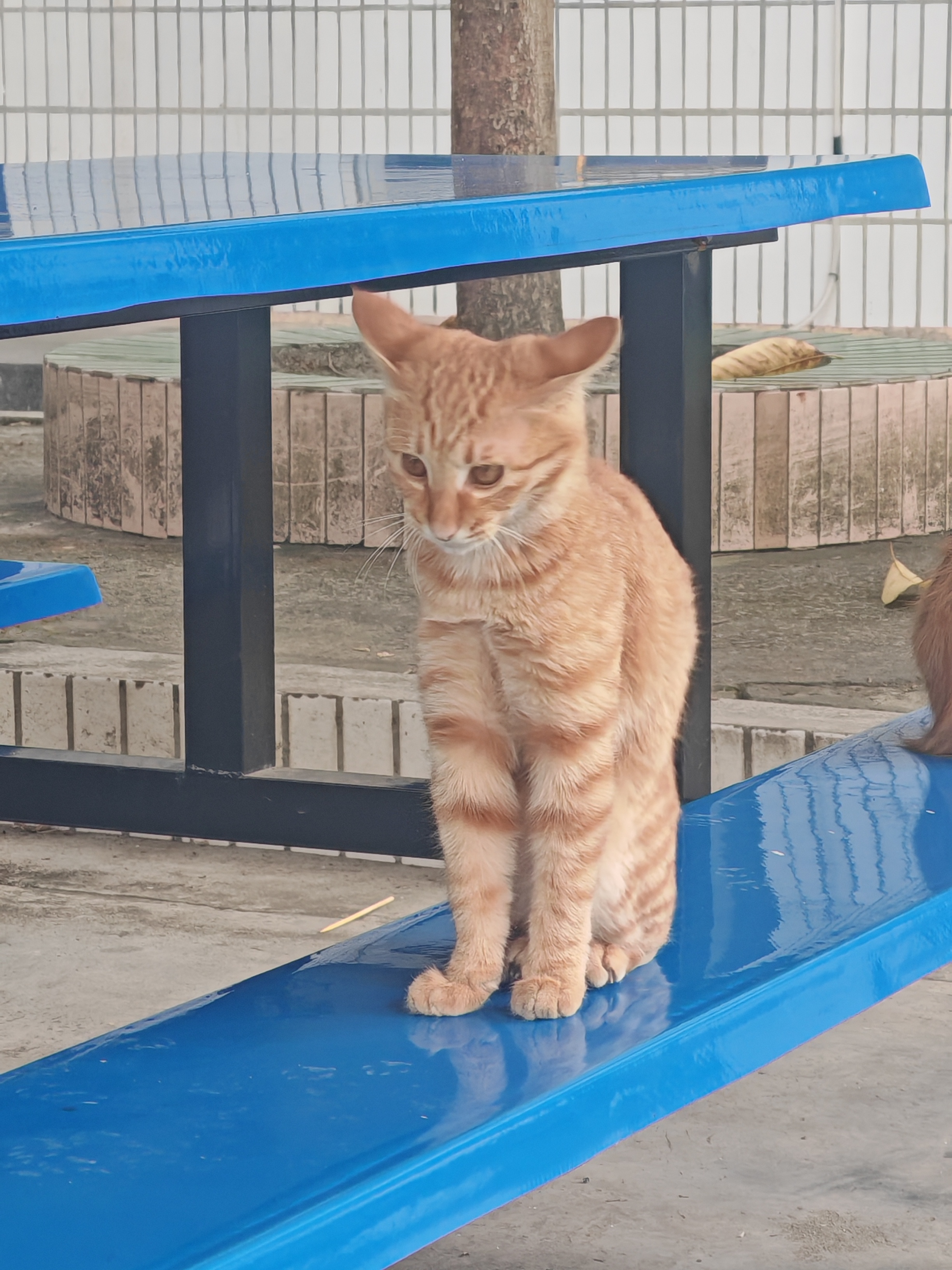 人生励志短语，希望能让你走出困境。封面