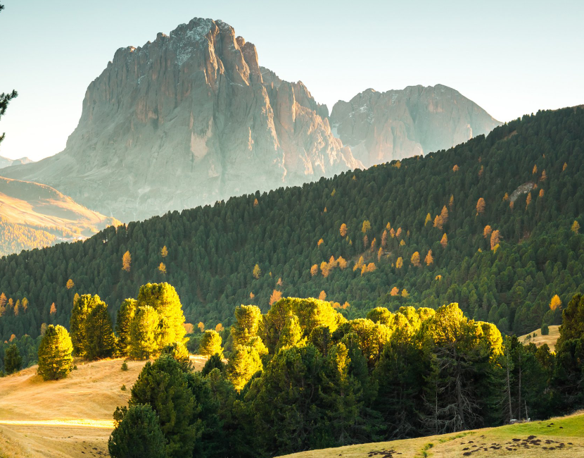 人这一辈子要学的知识很多，其中有一个很重要的知识点，如何变通。封面