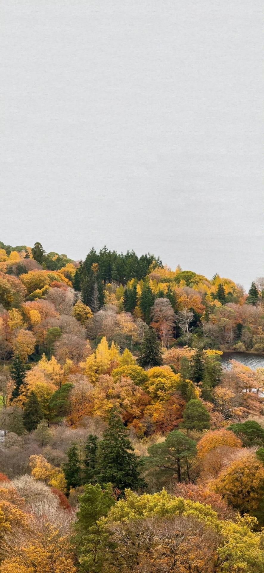 自然之道与人生修行：内在觉醒与自我超越的哲学探微