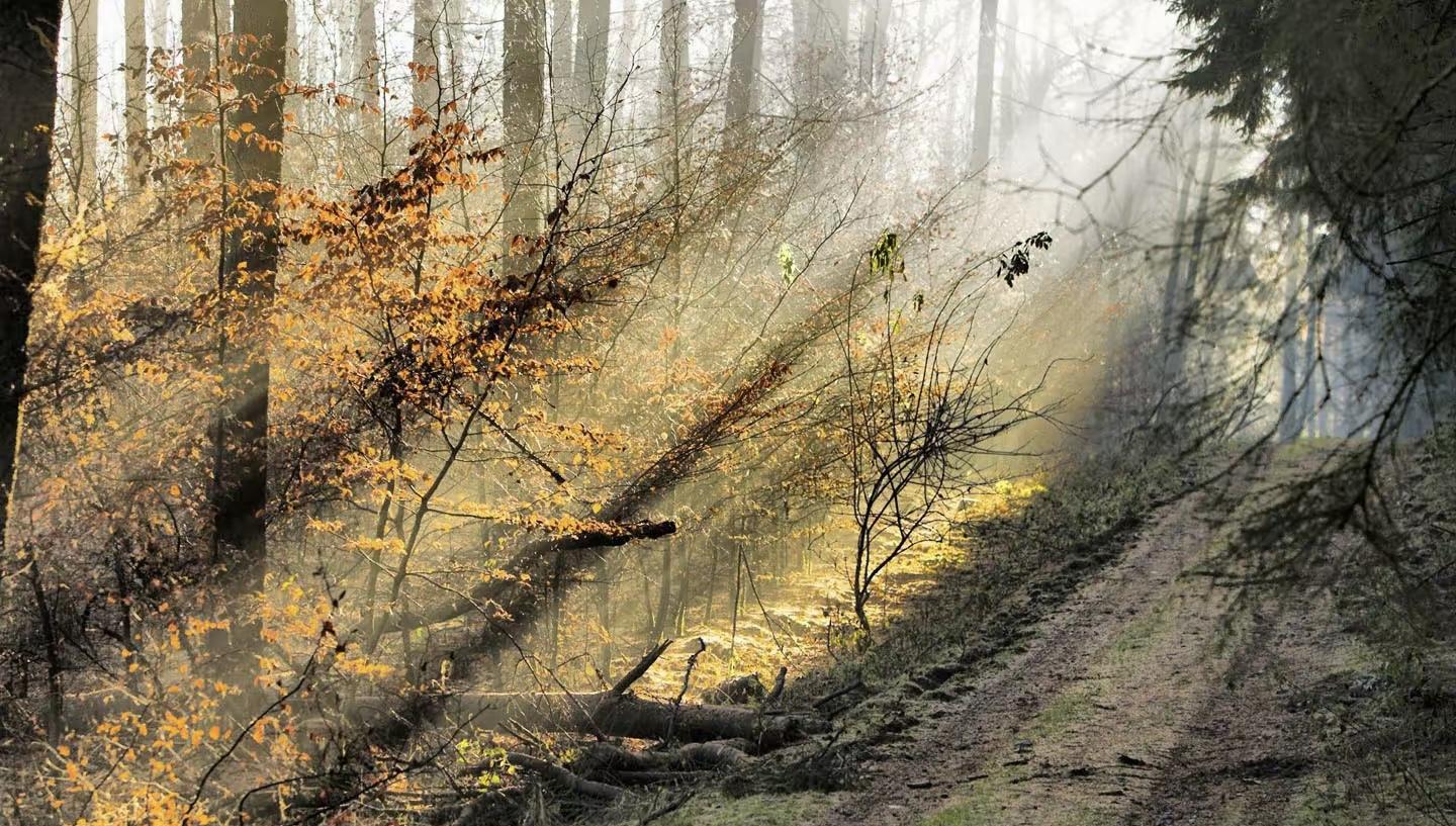 拥有良好的心态成为我们生活中必不可少的一门课程封面