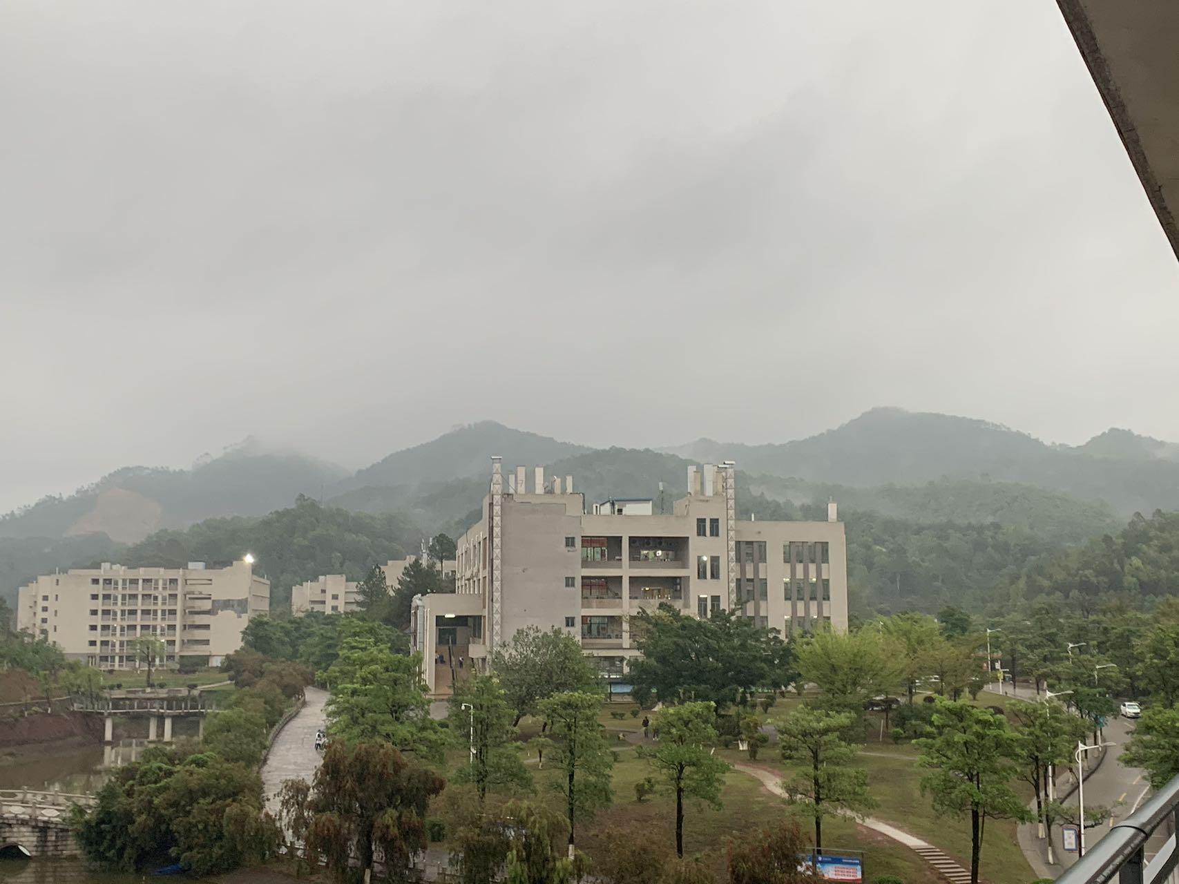 如今当我再次走上儿时上学的小路，却发现小时候的我走的是多么快啊。封面